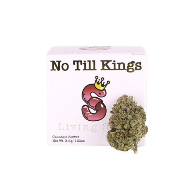NO TILL KINGS | LEMON BANANA SHERBERT | 3.5G