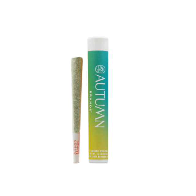 AUTUMN | VOLUME UP | 1G PREROLL
