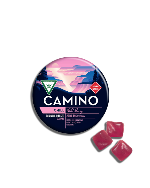 Camino | Wild Cherry | 100MG | 10PK