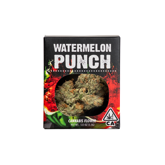 DECIBEL GARDENS | WATERMELON PUNCH | 3.5G JAR