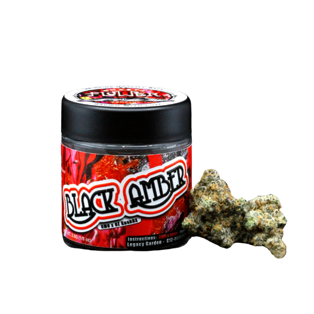 SHASTA | BLACK AMBER | 3.5G JAR