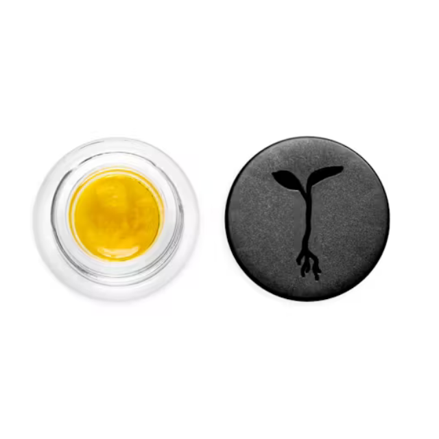 RAW GARDEN | ORANGE RUNTZ | LIVE SAUCE | 1G