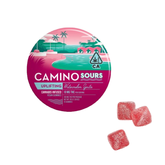 CAMINO | WILD BERRY | 100MG | 10PK
