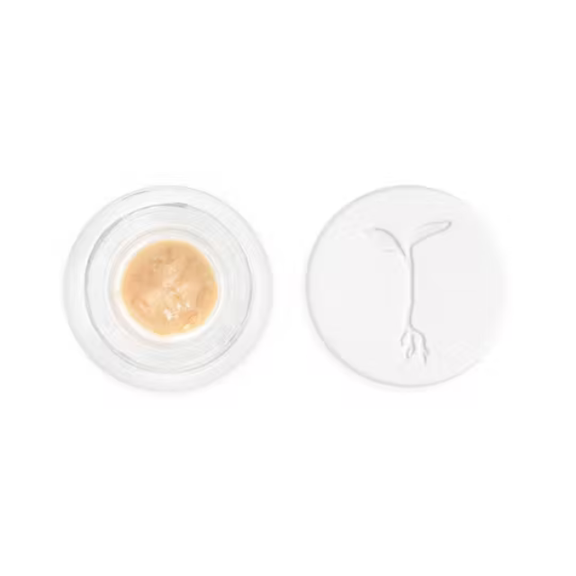 RAW GARDEN | ELECTRIC OASIS | LIVE ROSIN | 1G