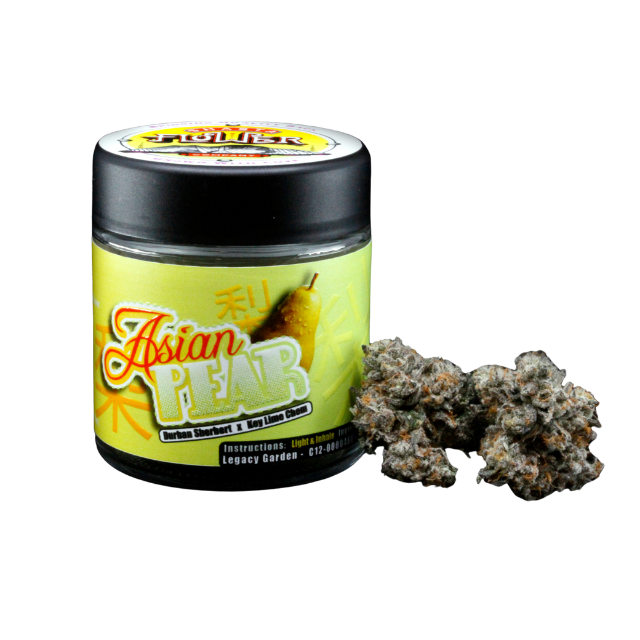 SHASTA | ASIAN PEAR | 3.5G JAR