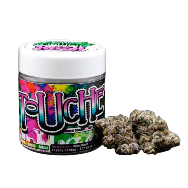 SHASTA | TOUCHE | 3.5G