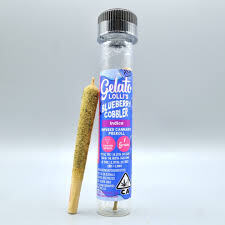 Gelato | Lolli Blueberry Cobbler | 1.2G