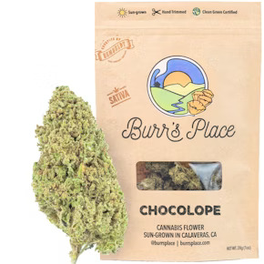 Burr's Place | Chocolope | 28G Bag