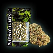 Pheno Hunts | Funky Sativa | 14G Bag