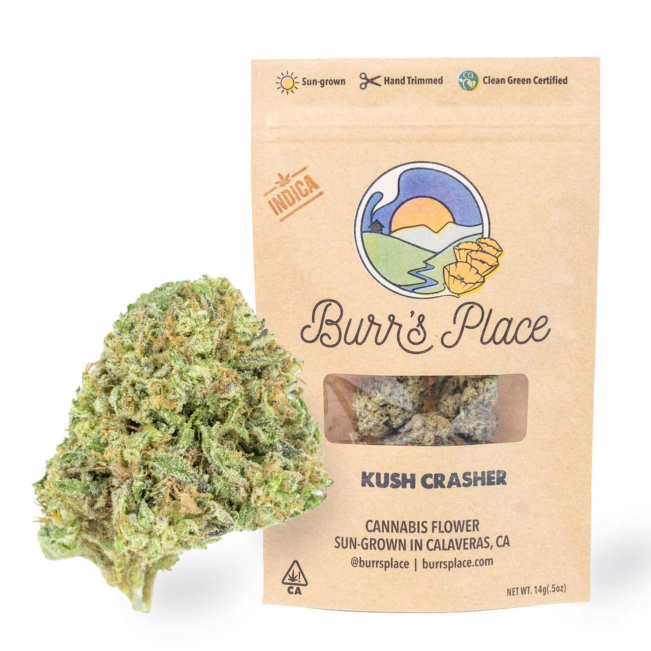 Burr's Place | Kush Crasher | 14G Bag