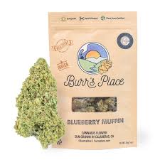 Burr's Place | Blueberry Muffin #3 | 28G Bag