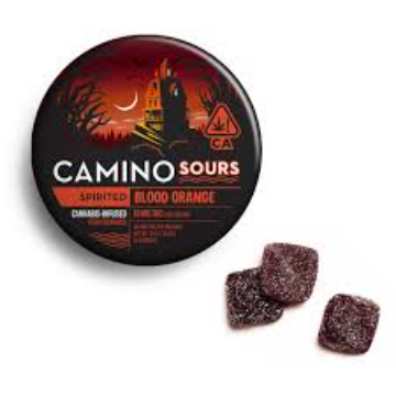 Camino | Blood Orange | Spirited | 10 Pack