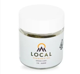Pacific Cooler | 3.5G