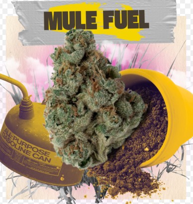 Mule Fuel | 3.5G