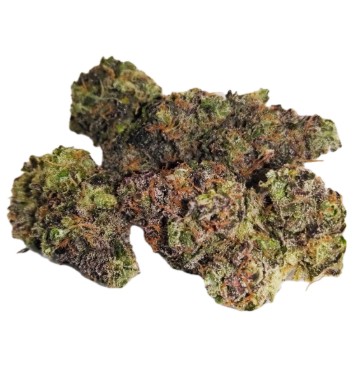 Hashburger | 3.5G