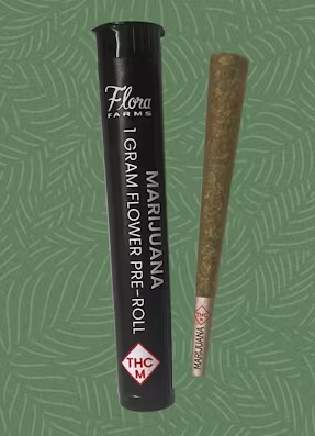 Gator Breath | 1G Preroll