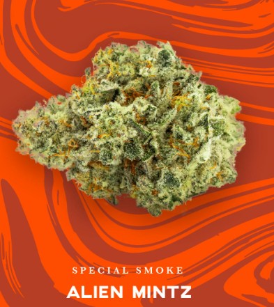 ALIEN MINTZ - 3.5G