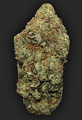 Tahiti Lime #3 | 7G