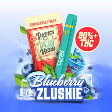 Blueberry Zlushie - 1G All In One
