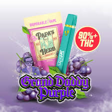 Grand Daddy Purple - 1G All In One