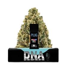 Northern Lights - 1G Dna Pod