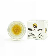 Slurty 3 - 1G Live Resin