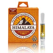 Pineapple Jack - 1G Cartridge