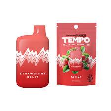 STRAWBERRY BELTZ - 1G ALL IN ONE