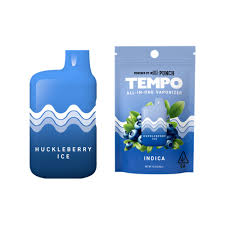Huckleberry Ice - 1G All In One
