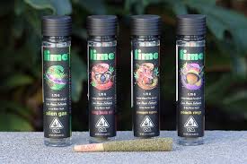 Watermelon Runtz - 1.75G Infused Preroll