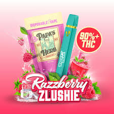 Razzberry Zlushie - 1G All In One