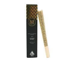 Rs-x - 1G Preroll