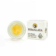 Berries & Cream - 1G Live Resin Sauce