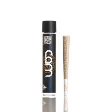 Kosher Kush - 1G Preroll