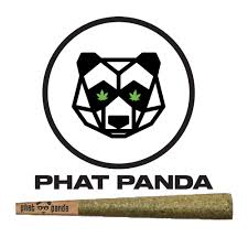 LEMON CHERRY GELATO - 1G PLATINUM PREROLL