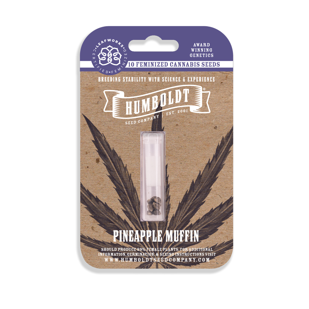 Humboldt Seed Company - Pineapple Muffin Feminized Seeds 10 Pack