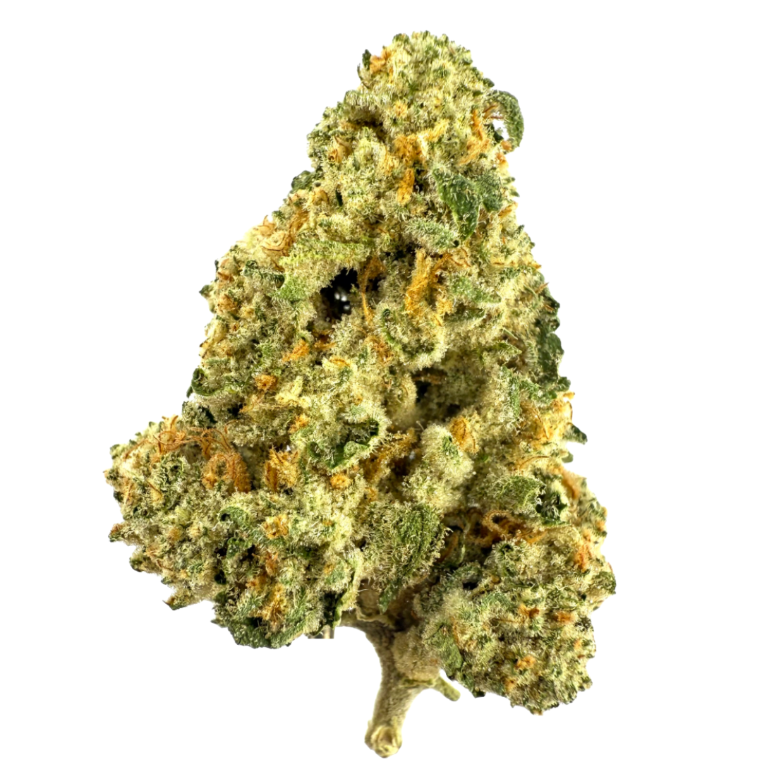 Burr's Place Organics - Macaroon 3.5G