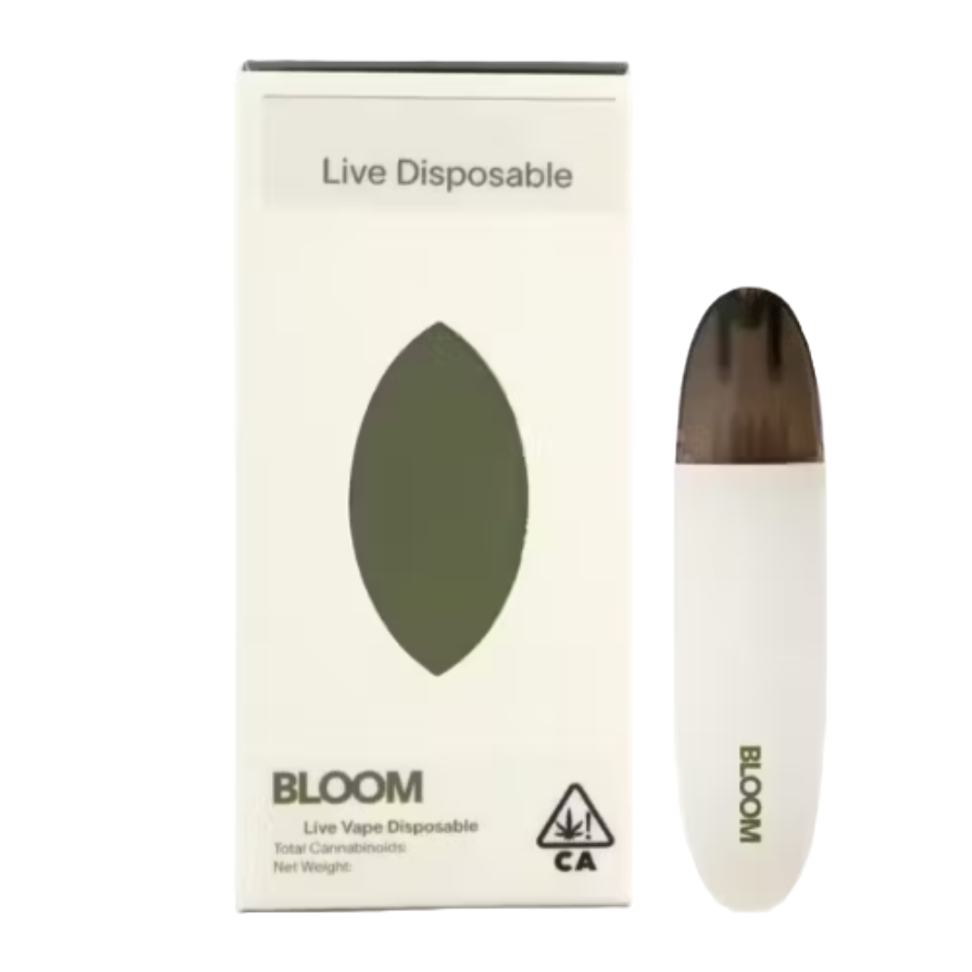 Bloom - Live Surf - Rainbow Z 1000MG Ready To Use