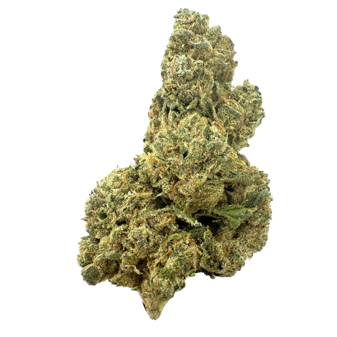 Burr's Place Organics - Chocolope 3.5G