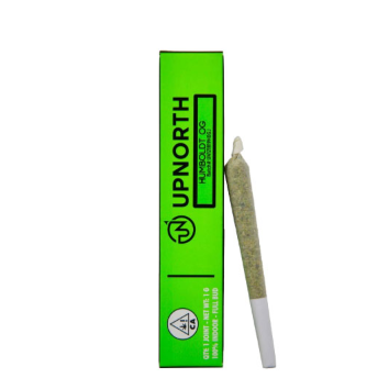Upnorth - Hindu Kush 1G