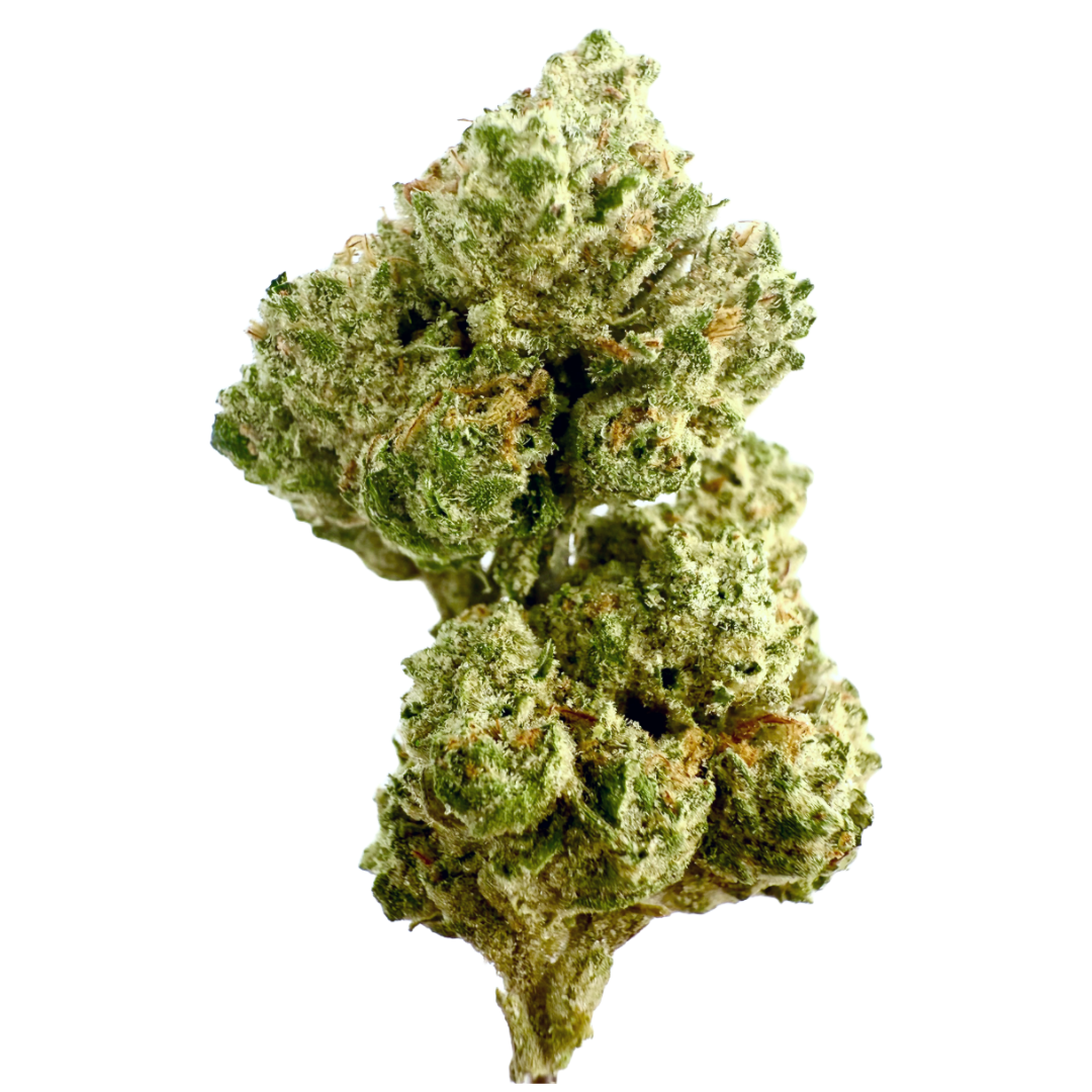 Burr's Place Organics - Poddy Mouth #12 7G