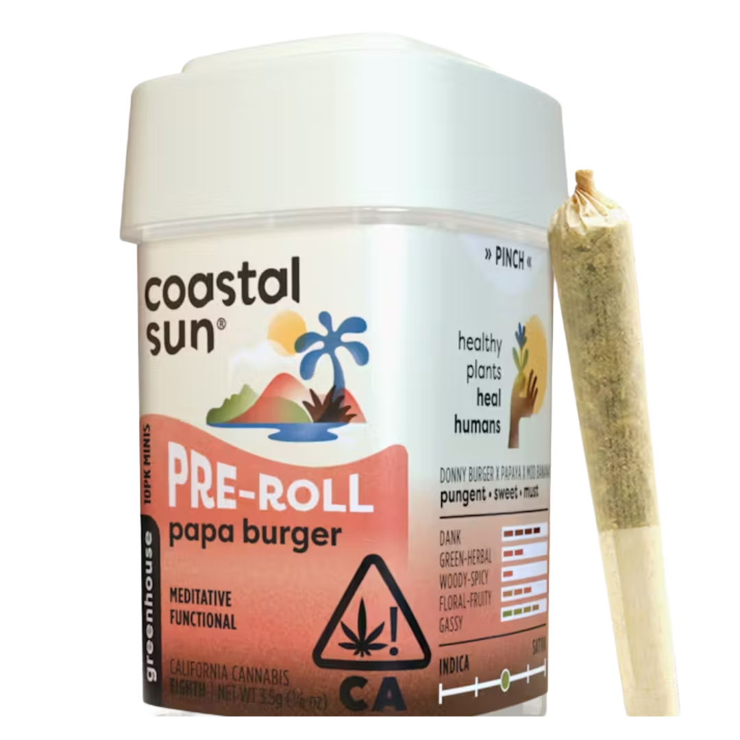 COASTAL SUN - PAPA BURGER 3.5G 10 PACK