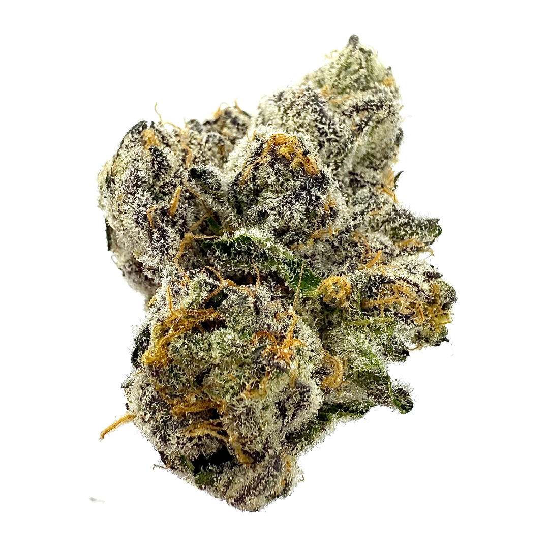 Decibel Gardens - Benjamins' In Space 3.5G