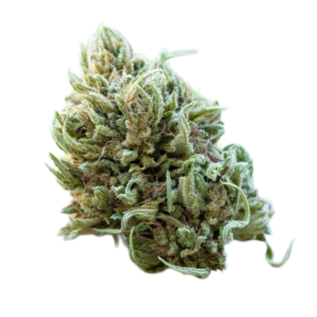 FARM CUT -  HARMONY ROSE 1:1 7.5G