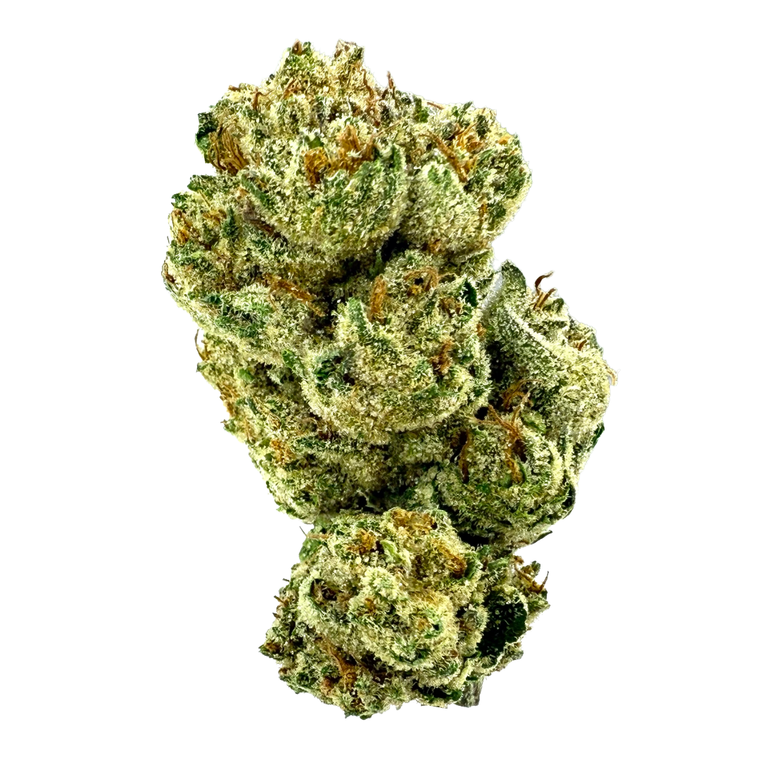 Madrone - Molotov Cocktail 14G