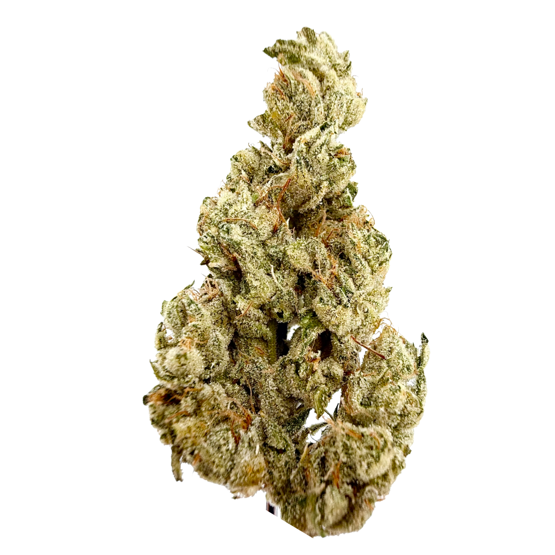 A Golden State - Shasta Bloom 3.5G