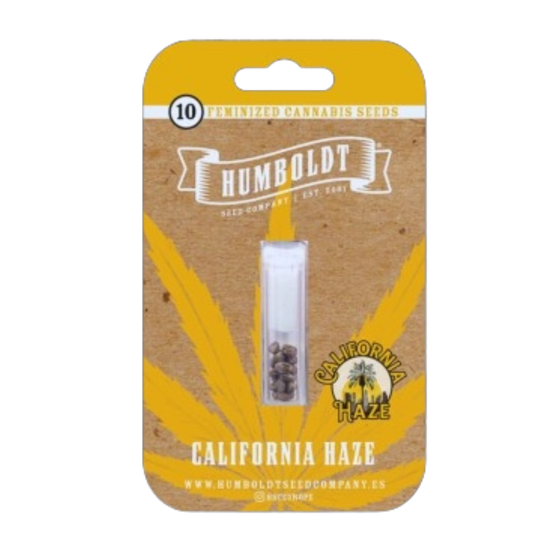Humboldt Seed Company - California Haze Feminized Seeds 10 Pack