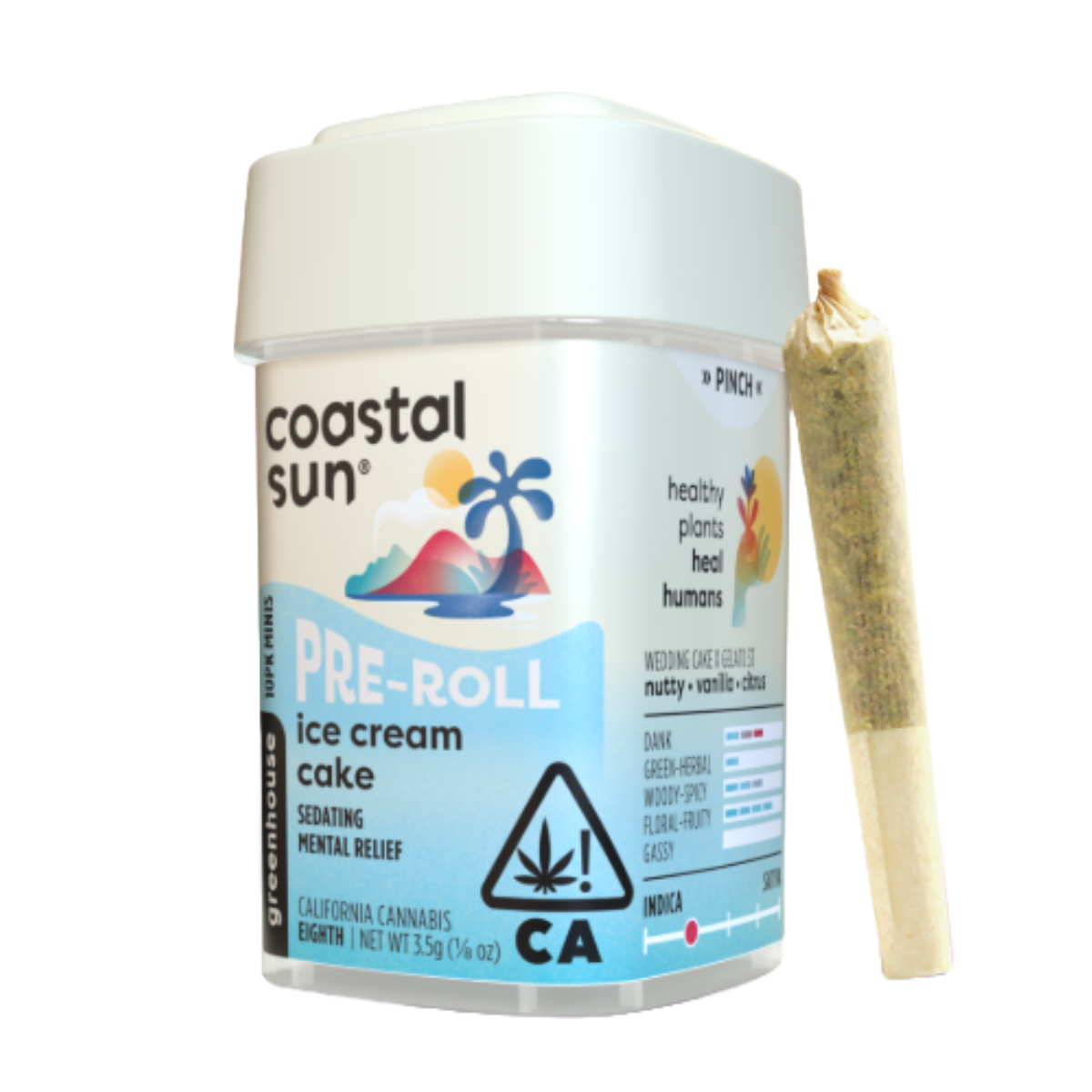 Coastal Sun - Ice Cream Cake 3.5G 10 Pack