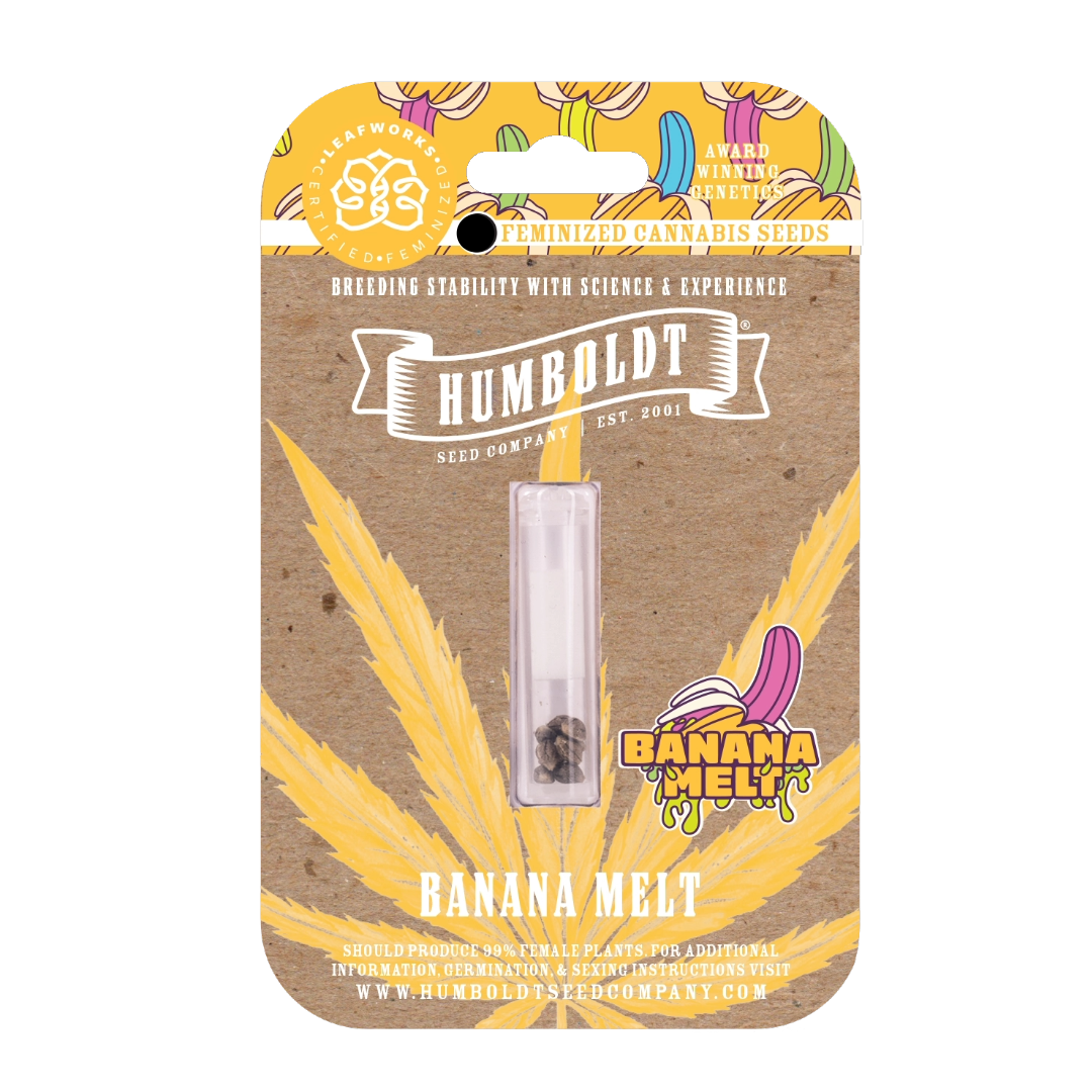Humboldt Seed Company - Banana Melt Feminized Seeds 10 Pack