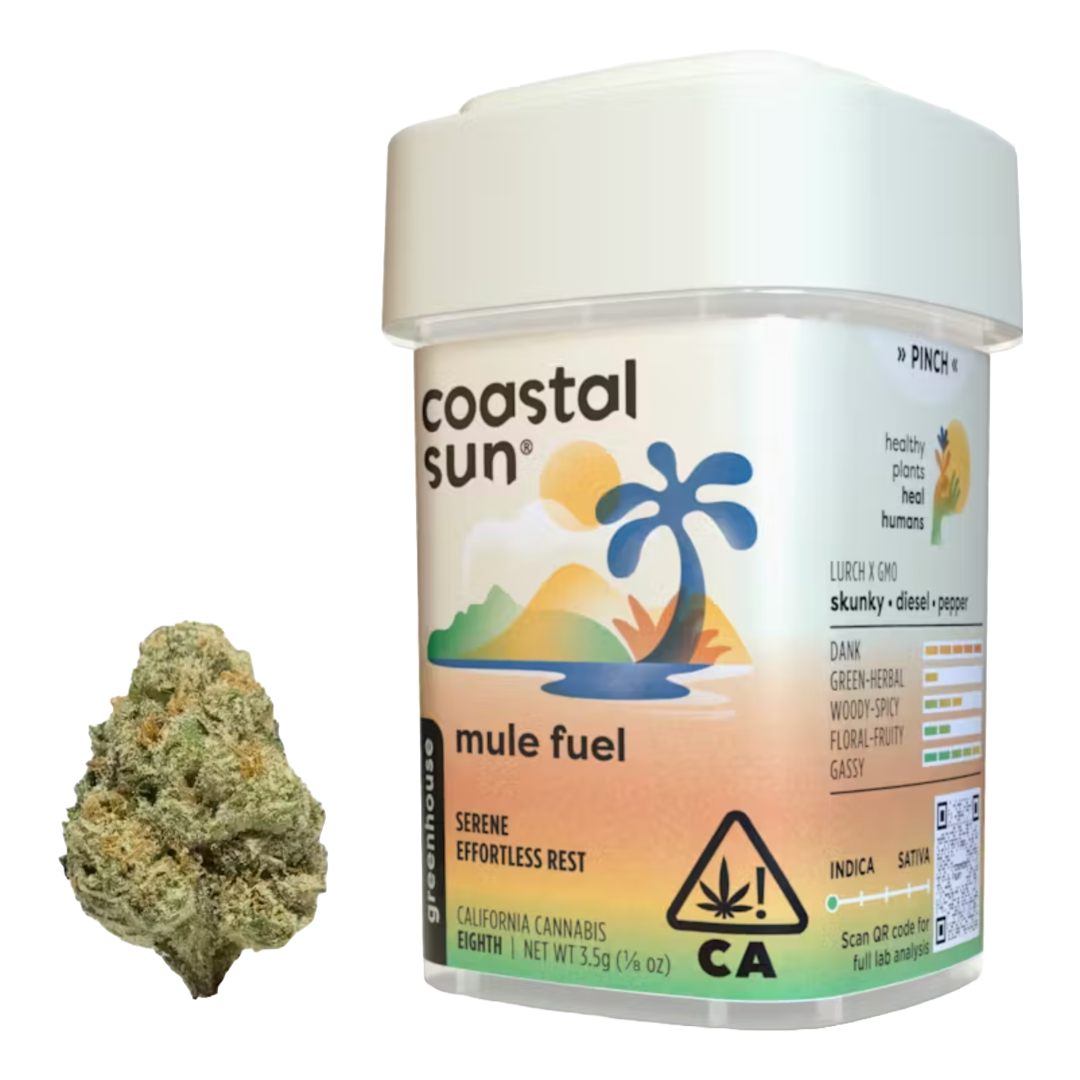 Coastal Sun - Mule Fuel 3.5G